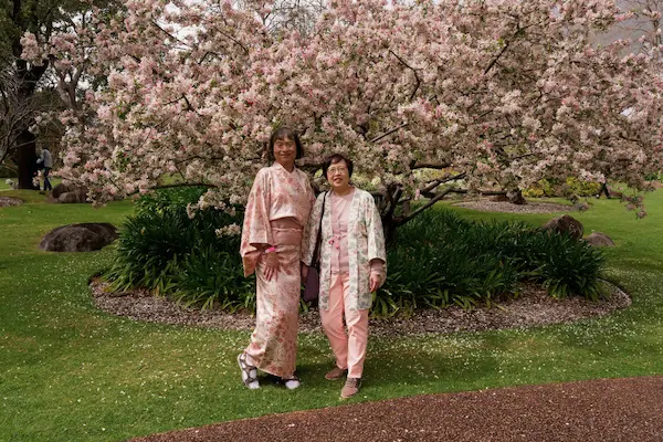 Sakura Matsuri (61)